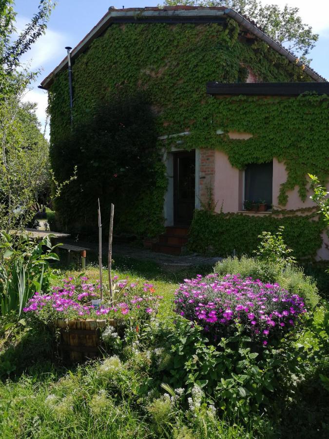 Agriturismo Il Palazzo Villa Brisighella Bagian luar foto